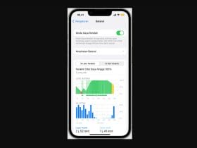 Cara Menampilkan Persentase Baterai iPhone 11 dengan Cepat, Mudah dan Permanen